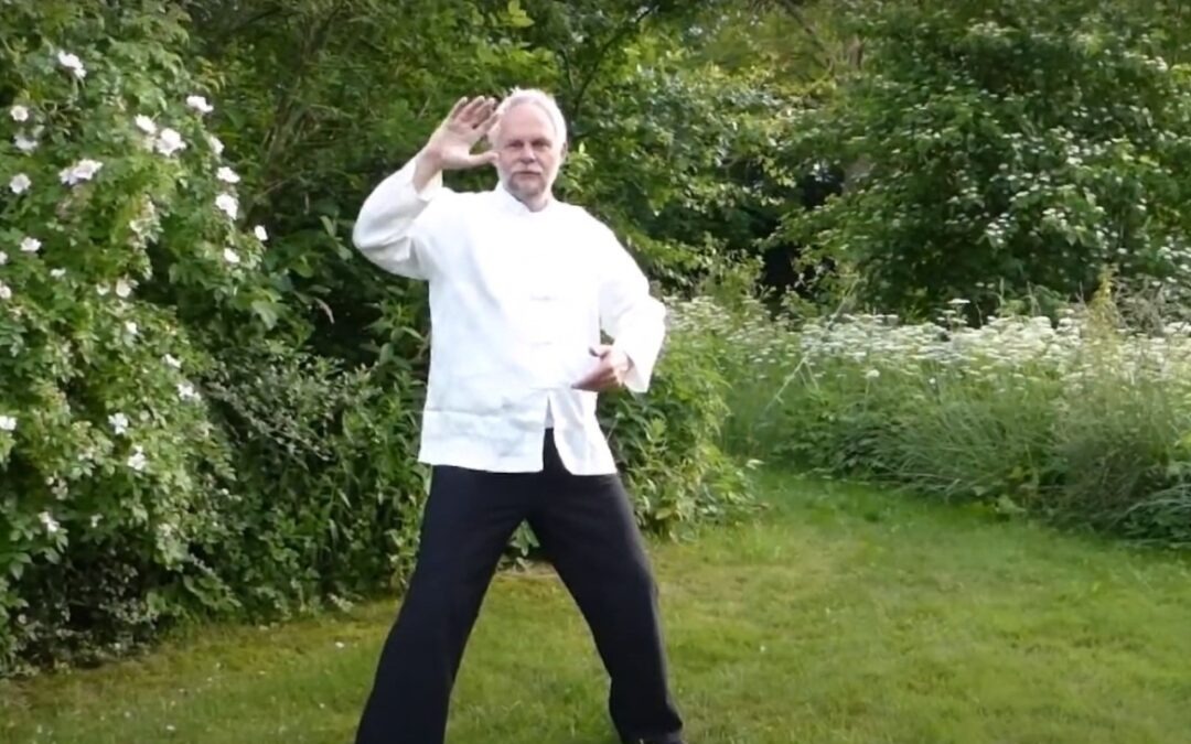 QiGong og Tai Chi workshop – Århus, foråret 2026