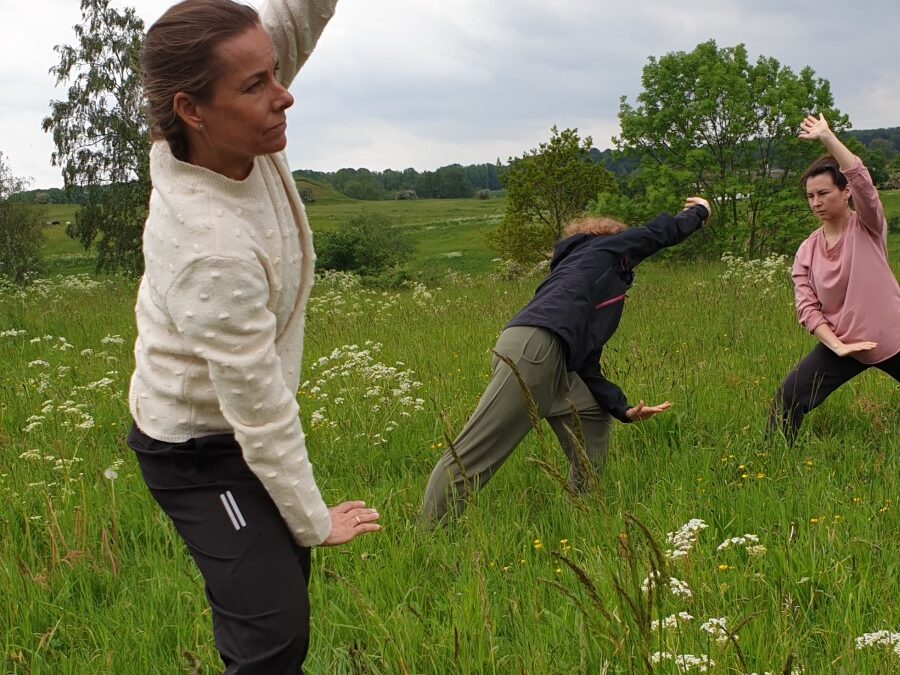 Vores videregående forløb og uddannelser i QiGong